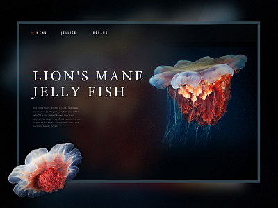 jellies blog design frozen minimal shadow ui ux white