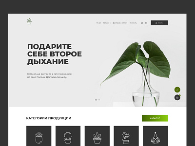Plants Shop Concept branding concept design graphic design minimal ui ux web website