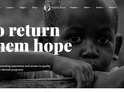 Landing Page Design For NGO