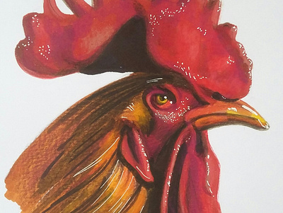 Galo Rooster 2018 animal illustration chicken design art drawing illustration inkdrawing marker pen realistic drawing rosanebadan sketching