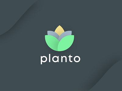 Planto Logo Design adobe illustrator branding graphic design illustration logo