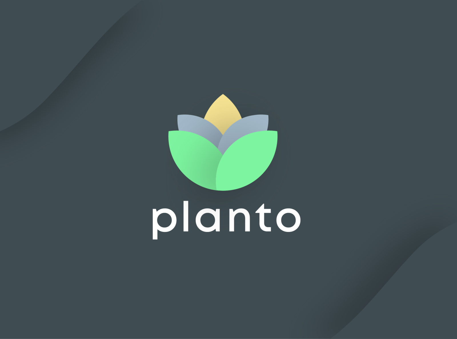 Planto Logo Design by Taiful Haque Anan on Dribbble