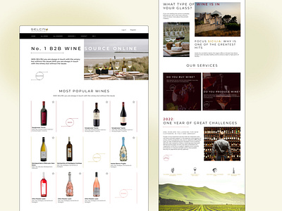 Wine Scouting Platform Website Redesign animation branding ecommerce graphic design italy landing page product page ui ui design uiux ux design uxui web design website website design wine wine shop winery