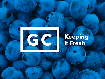 GC Refrigeration | Brand Strategy art direction blue brand branding