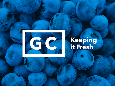 GC Refrigeration | Brand Strategy