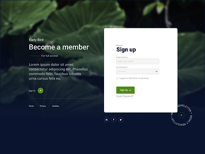 Sign up UI