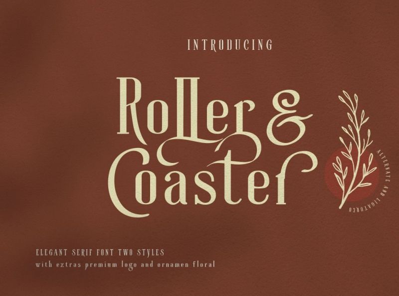 Roller Coaster Elegant Serif Font by Back Up Graphic on Dribbble