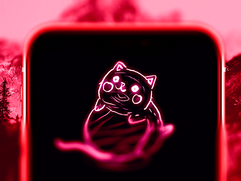 Cat in progress animation character color concept gif motion