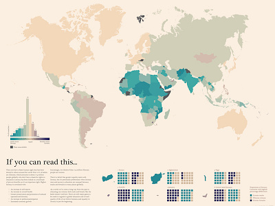 A Global Data Visualization of Literacy Rates by Gender data visualization infographic map
