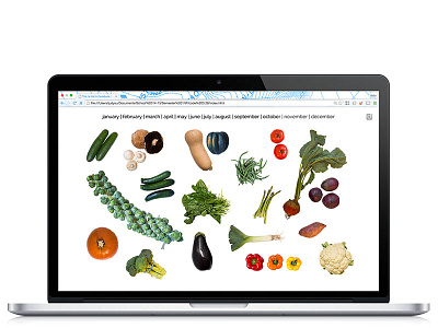 "This Is Not A Cookbook" Website design food produce website