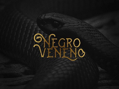 negro veneno / logo brand brand branding design drink logo mezcal vector