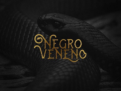 negro veneno / logo brand