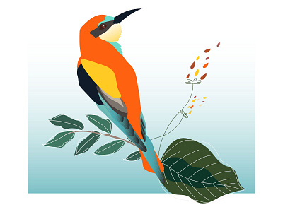 Bird illustration design illustration illustrator minimal vector