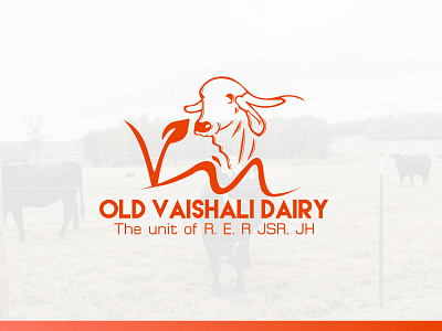 OLD VAISHALI DAIRY | DAIRY FARM LOGO DESIGN art brand identiy branding branding design buusiness logo company logo design graphic design identity design illustration illustrator logo logo identity motion graphics ui vector