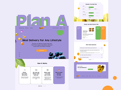 Meal Delivery Service design ui ux