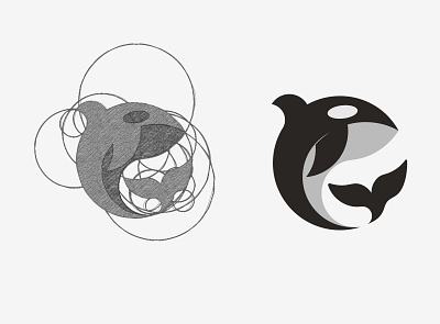 Orca logo branding design golden ratio goldenratio graphic design graphic designer logo logo design logodesign sketch