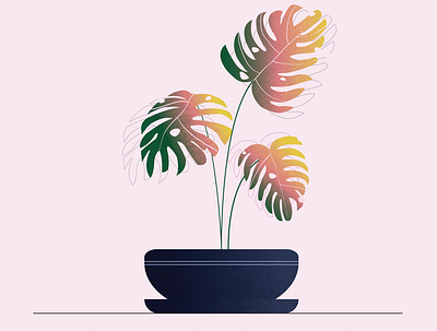 Vector flowers design graphic illustration illustrator minimal vector