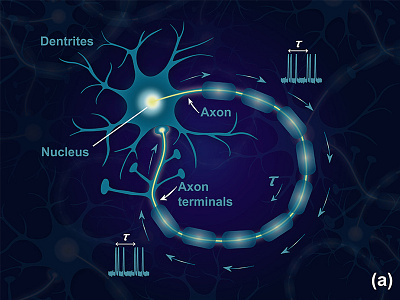 Neuron-inspired Illustration neurone scientific illustration