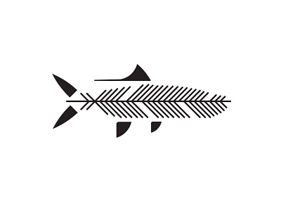 the fish hawk fly shop logo branding design feather fly fishing fresh icon illustration logo tarpon typography vector