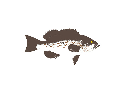 saltwater fish illustrations design grouper icon illustration logo packaging red snapper sailfish saltwater vector