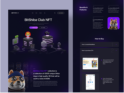 Bitshiba blockchain coin crypto dark design illustration landing page nft ui ux