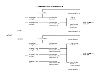 Kapsol Sample Program Work Flow