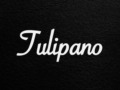 Tulipano - logo design brand brand and identity design fashion korea logo tulipano