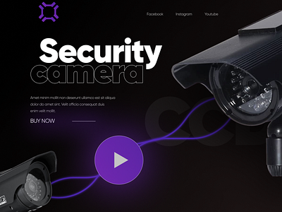 Security Camera CCD