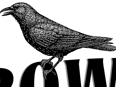 Crow black and white crow illustration typography vector