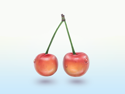 Some merry cherries charry icon illustration merry nice