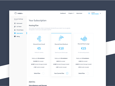Sloppy.Io Subscriptions blue clean dashboard memory payment plans pricing storage subscription ui ux white