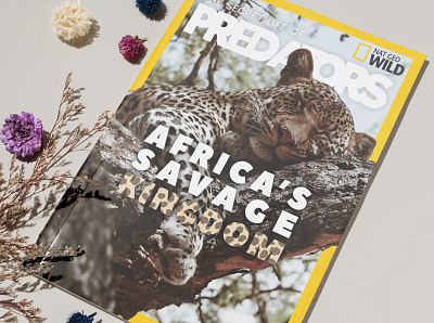 Predators Magazine Cover - NET GEO WILD advertisement animal animals cover cover design design graphic design graphicdesign illustrator magazine magazine cover national geographic panther photoshop