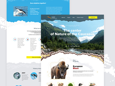 The Center of Nature of the Caucasus clear colors curves forms landing nature ui ux web website