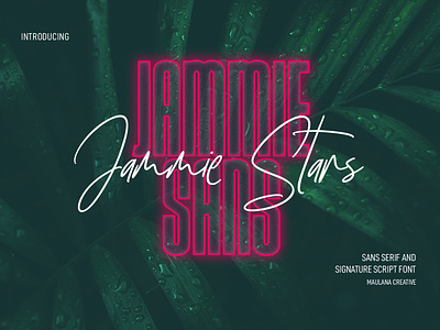 Jammie Stars Signature Script Sans Font Duo nostalgic