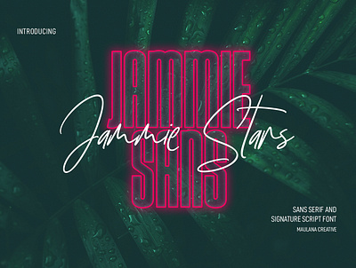 Jammie Stars Signature Script Sans Font Duo nostalgic