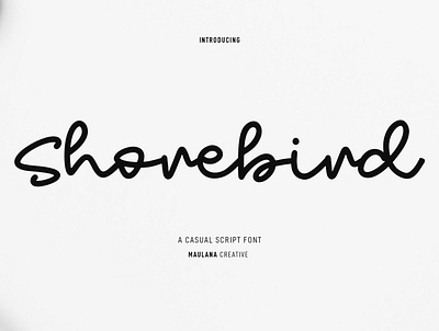 Shorebird Script Font sport