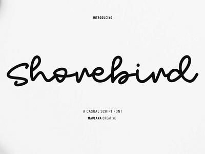 Shorebird Script Font