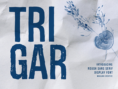 Trigar Rough Sans Serif Display Font