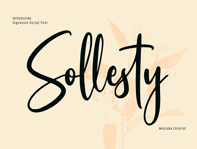 Sollesty Script Font animation branding calligraphy font design font fonts graphic design grunge illustration logo nostalgic script font sollesty script font