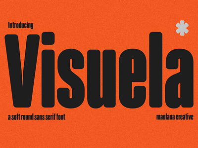 Visuela Sans Display Font