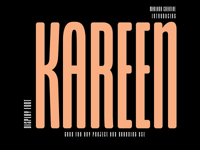 Kareen Sans Serif Display Font