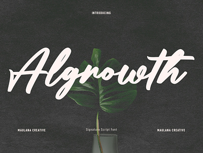 Algrowth Script Font 3d animation awesome font branding brush font design font fonts graphic design illustration logo motion graphics nostalgic script ui