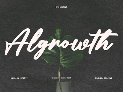 Algrowth Script Font