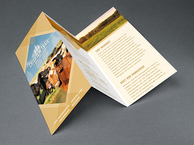 Chisholm Trail Brochure brochure logo print