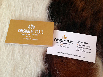 Chisholm Trail Business Cards businesscard logo print