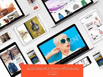 Homepage Section for ecommerce Themes