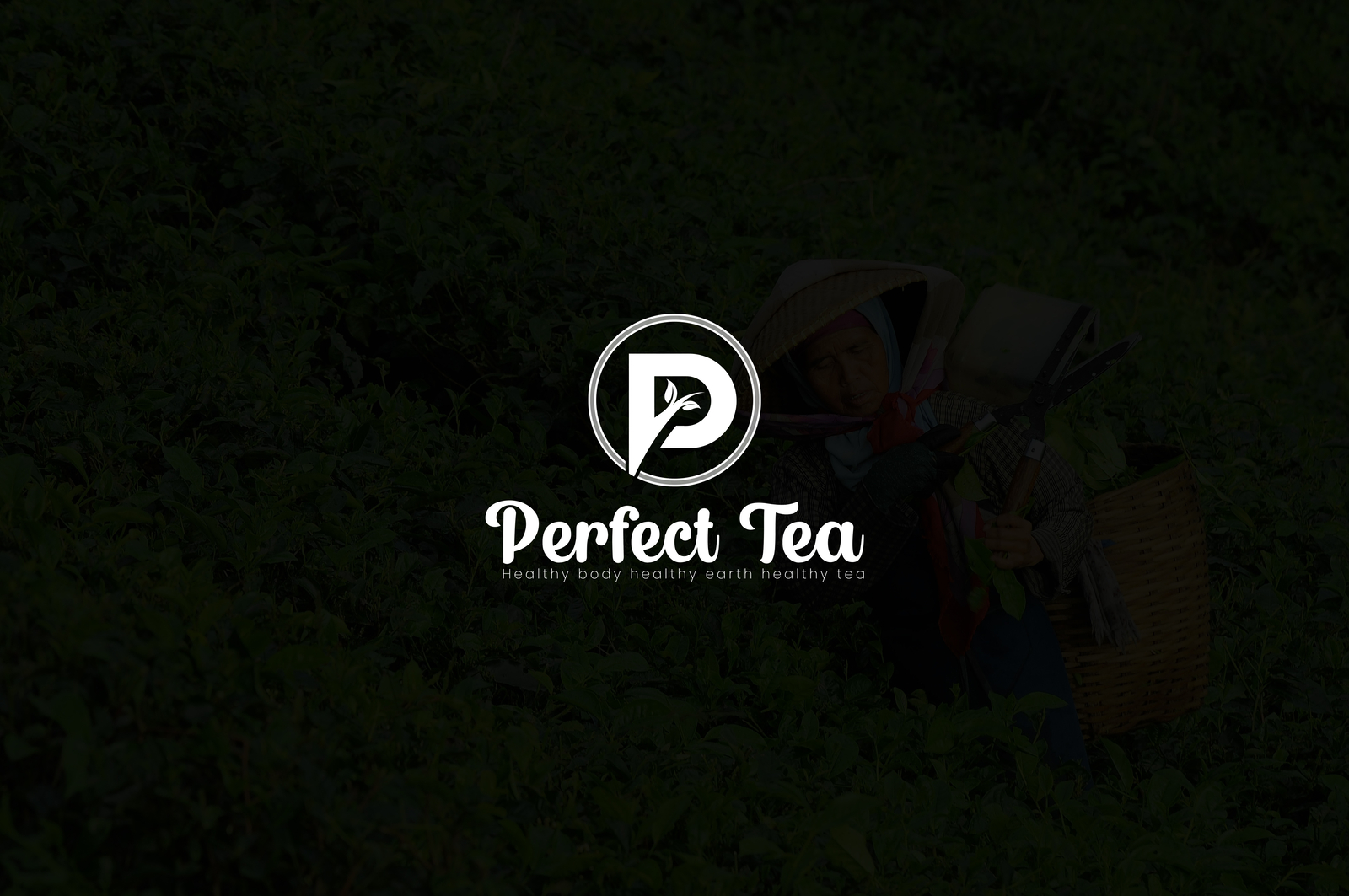 Project logo for a packaged tea drink product | efryn's Portfolio