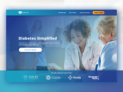 Diasyst Marketing Website (old) diabetes emory grady health health it healthcare marketing medical t1d t2d va website