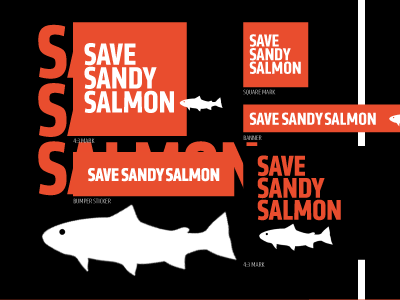 Save The Salmon