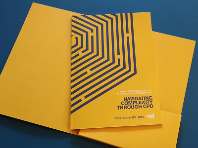 CPD Gold Award Submission Brochure and Folder brochre design illustration layout typography